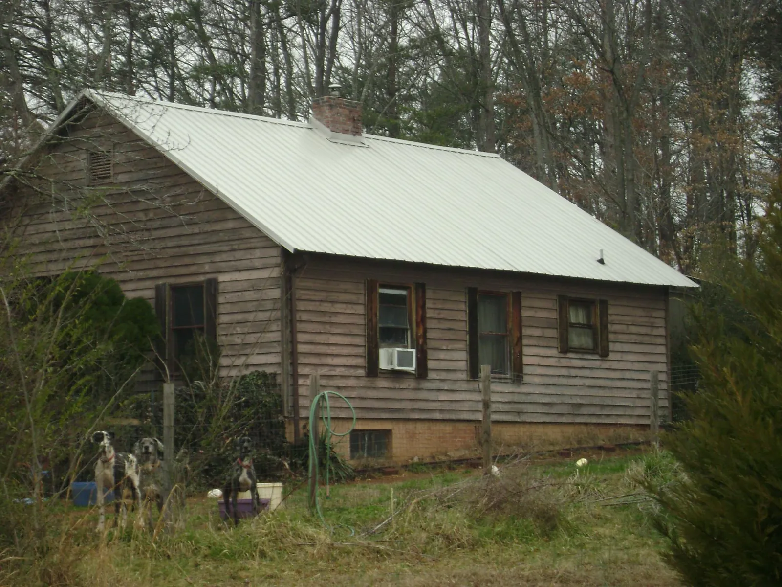 White metal roof on an old wood sided farmhouse, from a Asphalt Shingle Roof Repair job in North Fairfield